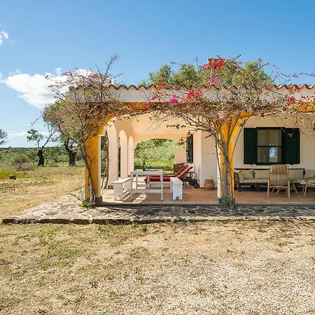 Stunning In With Wifi Tatil Evi *